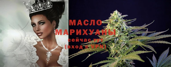 хмурый Надым